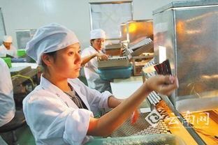 云南省医药工业投资持续增长，产业升级与区域发展同频共振